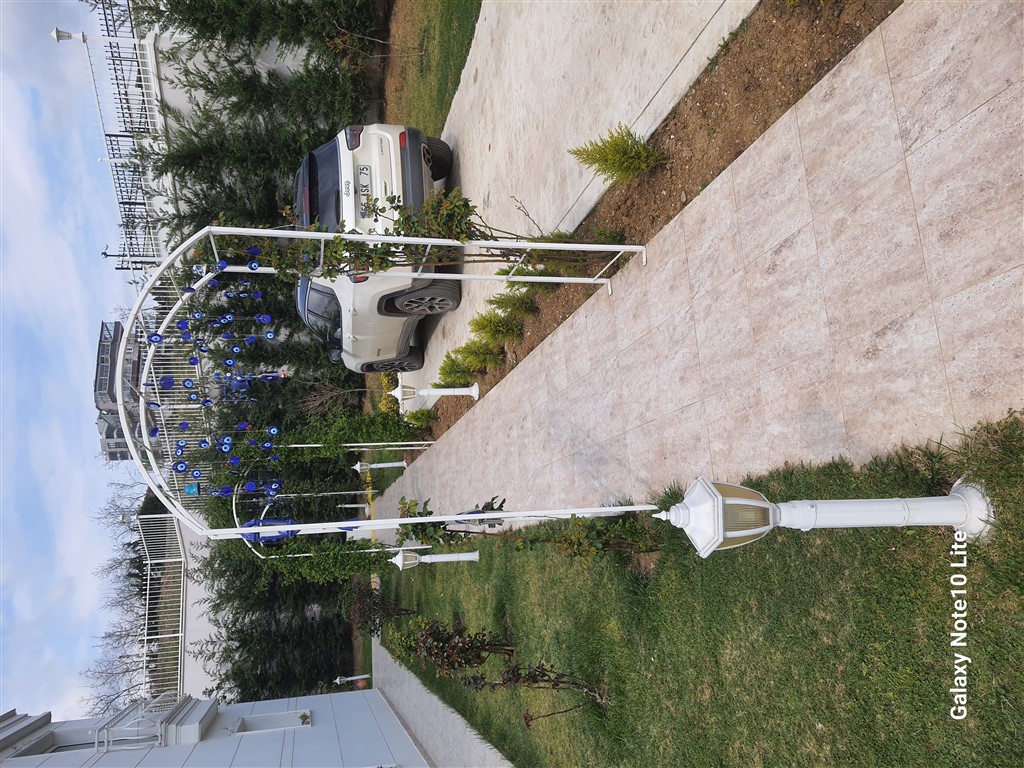 Dekoratif Ürünler